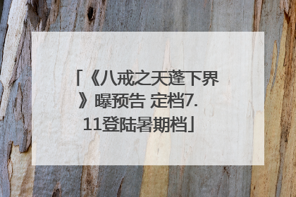 《八戒之天蓬下界》曝预告 定档7.11登陆暑期档