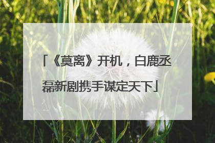 《莫离》开机，白鹿丞磊新剧携手谋定天下
