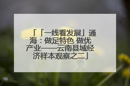 「一线看发展」通海：做足特色 做优产业——云南县域经济样本观察之二