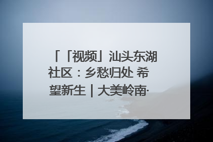 「视频」汕头东湖社区：乡愁归处 希望新生｜大美岭南·百村焕新记