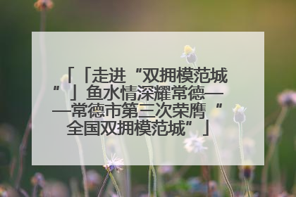 「走进“双拥模范城”」鱼水情深耀常德——常德市第三次荣膺“全国双拥模范城”