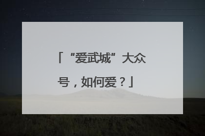“爱武城”大众号，如何爱？