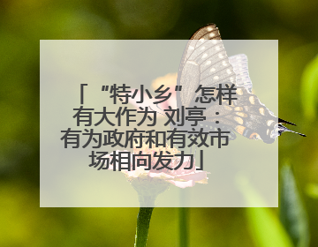 “特小乡”怎样有大作为 刘亭：有为政府和有效市场相向发力