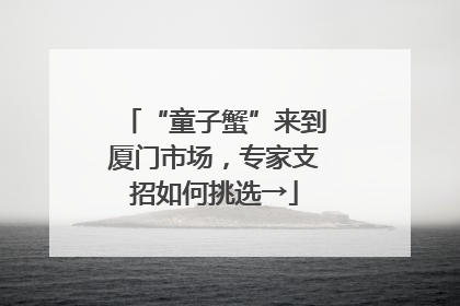 “童子蟹”来到厦门市场，专家支招如何挑选→