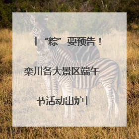 “粽”要预告！栾川各大景区端午节活动出炉