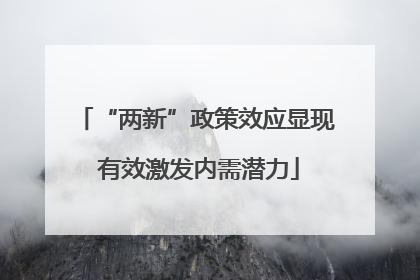 “两新”政策效应显现 有效激发内需潜力