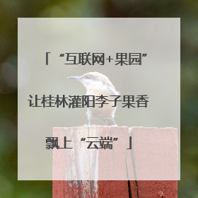 “互联网+果园”让桂林灌阳李子果香飘上“云端”