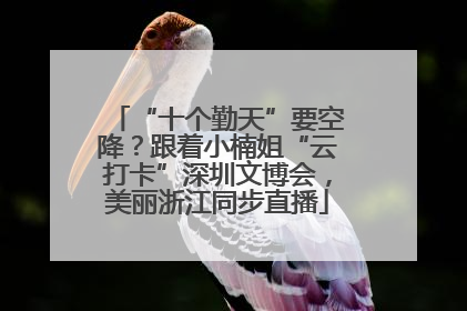 “十个勤天”要空降？跟着小楠姐“云打卡”深圳文博会，美丽浙江同步直播