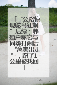 “公路惊现鸵鸟狂飙”后续：养殖户称它与同类打闹后“离家出走”，跑了1公里被找回