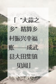 “大蒜之乡”精算乡村振兴幸福账——成武县大田集镇见闻