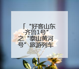 “好客山东·齐鲁1号”之“泰山黄河号”旅游列车首发 泰安多重惠民举措激活文旅消费新动能