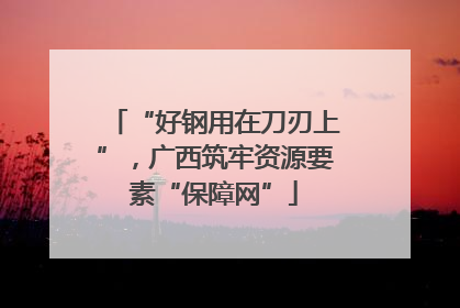 “好钢用在刀刃上”，广西筑牢资源要素“保障网”