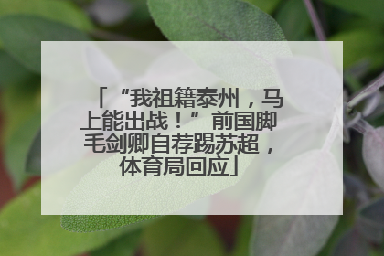 “我祖籍泰州，马上能出战！”前国脚毛剑卿自荐踢苏超，体育局回应