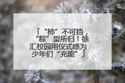 “柿”不可挡，“粽”望所归！徐汇校园用仪式感为少年们“充能”