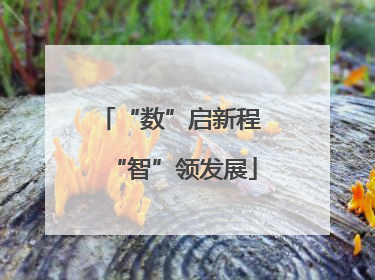 “数”启新程 “智”领发展