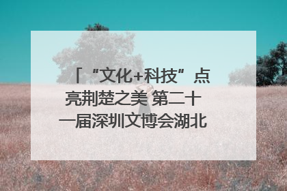 “文化+科技”点亮荆楚之美 第二十一届深圳文博会湖北馆抢“鲜”看