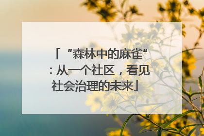 “森林中的麻雀”：从一个社区，看见社会治理的未来