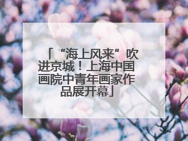 “海上风来”吹进京城！上海中国画院中青年画家作品展开幕