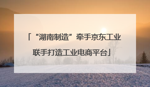 “湖南制造”牵手京东工业 联手打造工业电商平台