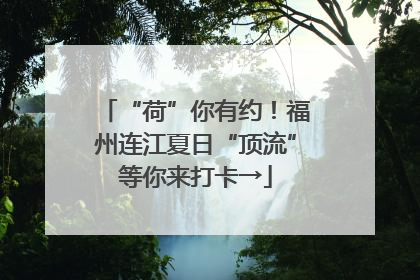 “荷”你有约！福州连江夏日“顶流”等你来打卡→