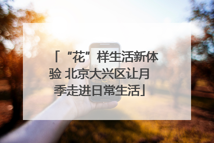 “花”样生活新体验 北京大兴区让月季走进日常生活