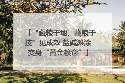 “藏粮于地、藏粮于技”见成效 盐碱滩涂变身“黄金粮仓”
