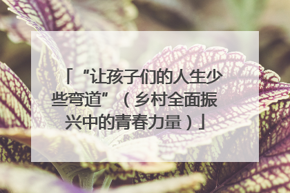 “让孩子们的人生少些弯道”（乡村全面振兴中的青春力量）