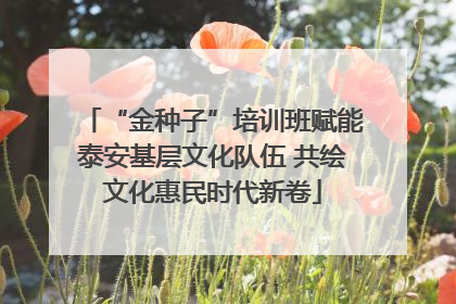 “金种子”培训班赋能泰安基层文化队伍 共绘文化惠民时代新卷