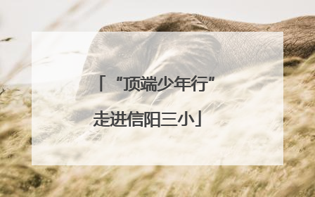 “顶端少年行”走进信阳三小