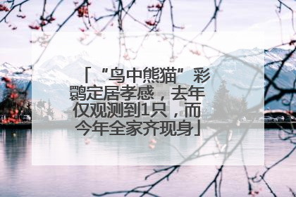“鸟中熊猫”彩鹮定居孝感，去年仅观测到1只，而今年全家齐现身