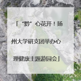“黔”心花开！扬州大学研支团举办心理健康主题游园会