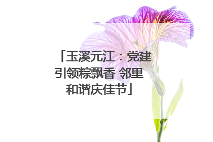 玉溪元江：党建引领粽飘香 邻里和谐庆佳节