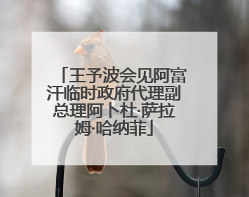 王予波会见阿富汗临时政府代理副总理阿卜杜·萨拉姆·哈纳菲