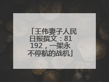 王伟妻子人民日报撰文：81192，一架永不停航的战机