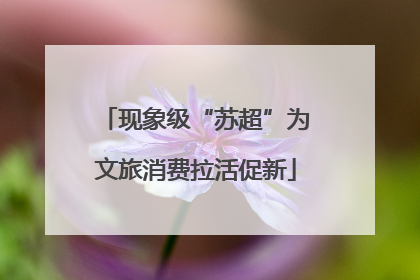 现象级“苏超”为文旅消费拉活促新