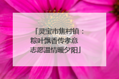 灵宝市焦村镇：粽叶飘香传孝意 志愿温情暖夕阳