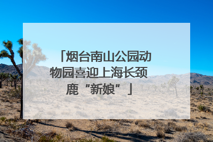 烟台南山公园动物园喜迎上海长颈鹿“新娘”