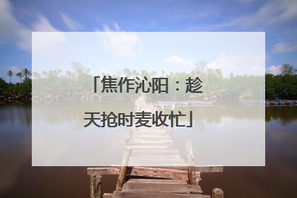 焦作沁阳：趁天抢时麦收忙