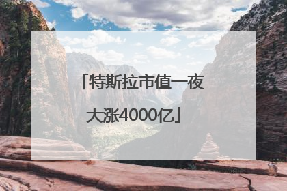 特斯拉市值一夜大涨4000亿