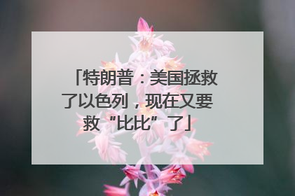特朗普：美国拯救了以色列，现在又要救“比比”了