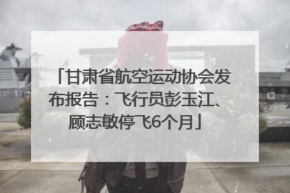 甘肃省航空运动协会发布报告：飞行员彭玉江、顾志敏停飞6个月