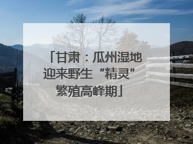 甘肃：瓜州湿地迎来野生“精灵”繁殖高峰期