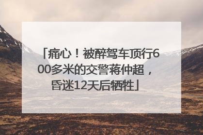 痛心！被醉驾车顶行600多米的交警蒋仲超，昏迷12天后牺牲