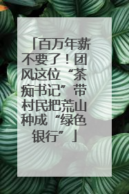 百万年薪不要了！团风这位“茶痴书记”带村民把荒山种成“绿色银行”