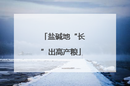 盐碱地“长”出高产粮