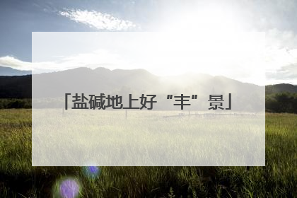 盐碱地上好“丰”景