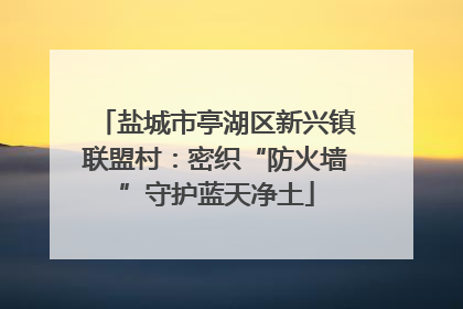 盐城市亭湖区新兴镇联盟村：密织“防火墙”守护蓝天净土
