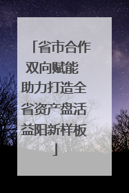 省市合作双向赋能 助力打造全省资产盘活益阳新样板