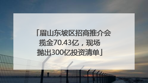眉山东坡区招商推介会揽金70.43亿，现场抛出300亿投资清单
