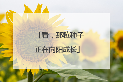 看，那粒种子正在向阳成长